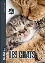 Broschiert Les chats von Pierre Bessière