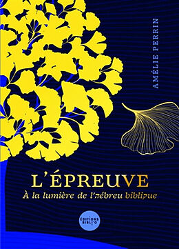 Broché L'épreuve : à la lumière de l'hébreu biblique de Amélie Perrin