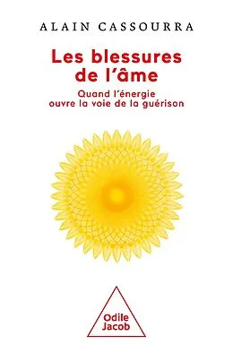 E-Book (epub) Les Blessures de l'ame von Cassourra Alain Cassourra