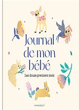 Broschiert Journal de mon bébé : les douze premiers mois von 