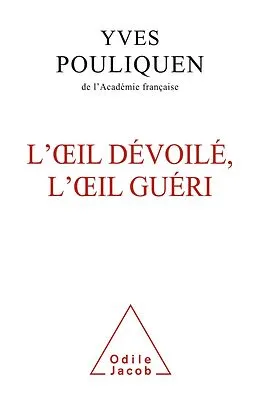 E-Book (epub) L' A il devoile, l'A il gueri von Pouliquen Yves Pouliquen