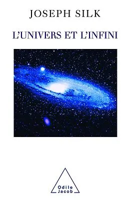E-Book (epub) L' Univers et l'Infini von Silk Joseph Silk