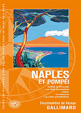 Broché Naples et Pompéi : Ischia et Procida, la côte sorrentine, Capri, le Vésuve, la côte amalfitaine de 