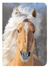 Broschiert Cheval von 