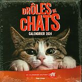 Livre de poche Drôles de chats : calendrier mural 2024 de 