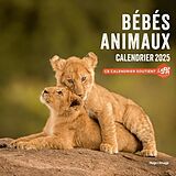 Broché Bébés animaux : calendrier 2025 de 