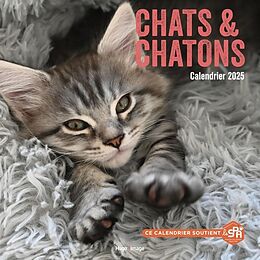 Broché Chats & chatons : calendrier 2025 de 