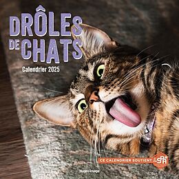 Broché Drôles de chats : calendrier 2025 de 