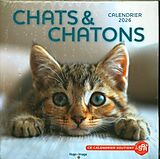 Kartonierter Einband Chats & chatons : calendrier 2026 von 
