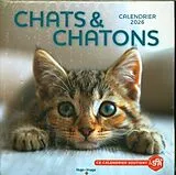  Chats & chatons : calendrier 2026 von 
