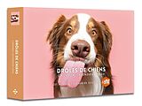 Broschiert Agenda calendrier droles de von 