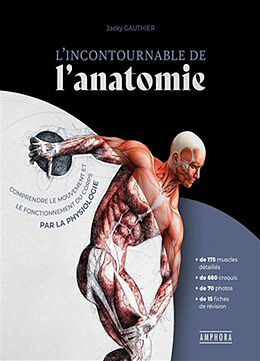 Broché L'incontournable de l'anatomie : comprendre le mouvement et le fonctionnement du corps par la physiologie de Jacky Gauthier