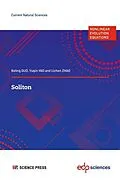 E-Book (pdf) Soliton von Boling Guo, Yuqin Yao, Lichen Zhao