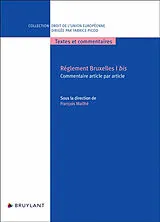 Broschiert Règlement Bruxelles I bis : commentaire article par article von Francois Mailhes