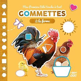 Broché Gommettes : à la ferme de 