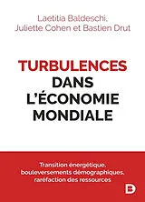 Broschiert Turbulences dans l'économie mondiale : transition énergétique, bouleversement démographiques, raréfaction des ressources von Drut Bastien
