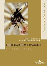 Kartonierter Einband Entre escritura e imagen II von 