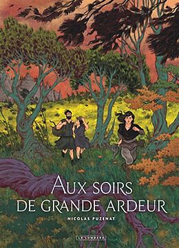 Broché Aux soirs de grande ardeur de Nicolas Puzenat