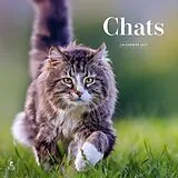 Taschenbuch Chats : calendrier 2027 von 
