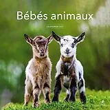 Fester Einband Bébés animaux : calendrier 2027 von 