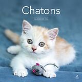 Broschiert Chatons : calendrier 2026 von 