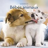 Broschiert Bébés animaux : calendrier 2026 von 