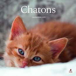 Broché Chatons : calendrier 2025 de 