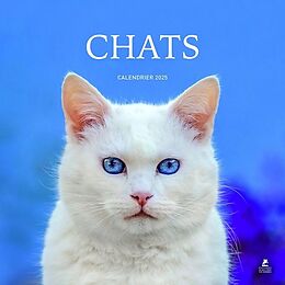 Broché Chats : calendrier 2025 de 