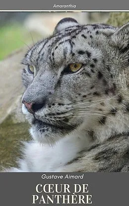 E-Book (epub) Coeur de Panthère von Gustave Aimard