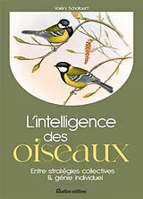 Broschiert L'intelligence des oiseaux : entre stratégies collectives & génie individuel von Valéry Schollaert