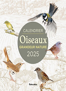 Broschiert Oiseaux grandeur nature : calendrier mural 2025 von Guilhem Lesaffre