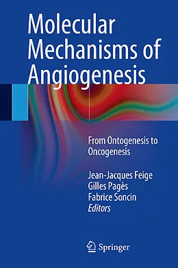 E-Book (pdf) Molecular Mechanisms of Angiogenesis von Jean-Jacques Feige, Gilles Pagès, Fabrice Soncin