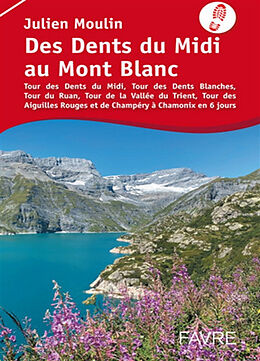 Broché Des dents du Midi au mont Blanc : tour des dents du Midi, tour des dents blanches, tour du Ruan, tour de la vallée du... de Julien Moulin