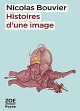 Broschiert Histoires d'une image von Nicolas Bouvier