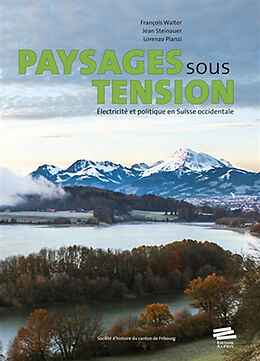 Broché Paysages sous tension : électricité et politique en Suisse occidentale de F.; Steinauer, J.; Planzi, L. Walter