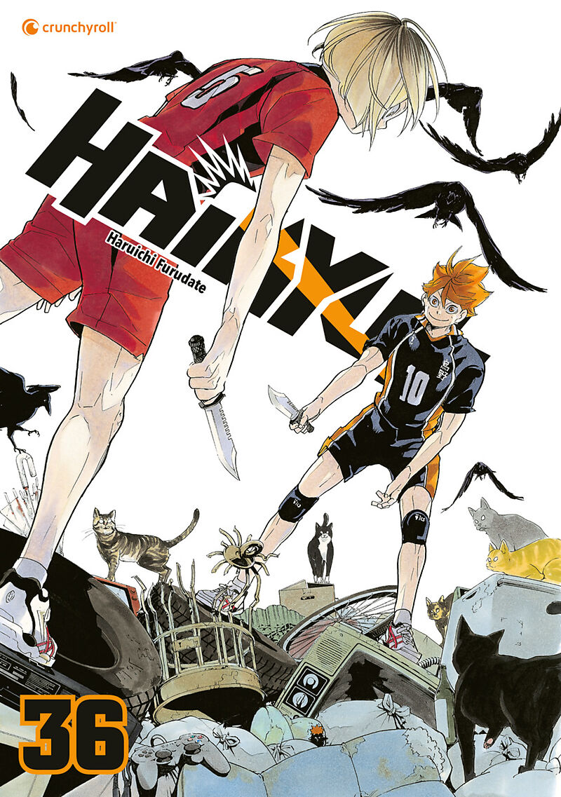 Haikyu!!  Band 36