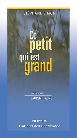 E-Book (pdf) Ce petit qui est grand von Simon Stephane Simon