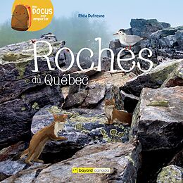 eBook (pdf) Roches du Québec de Dufresne Rhea Dufresne