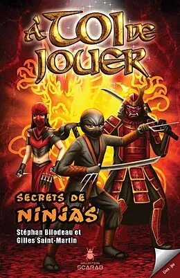 E-Book (epub) Secrets de ninjas von Bilodeau Stephan Bilodeau