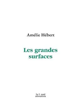 E-Book (pdf) Les grandes surfaces von Amelie Hebert