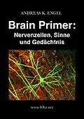 E-Book (epub) Brain Primer: Nervenzellen, Sinne und Gedächtnis von Andreas K. Engel