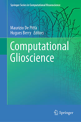 eBook (pdf) Computational Glioscience de 