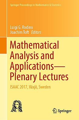 Fester Einband Mathematical Analysis and Applications Plenary Lectures von 