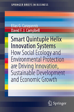 eBook (pdf) Smart Quintuple Helix Innovation Systems de Elias G. Carayannis, David F. J. Campbell