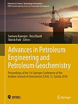 eBook (pdf) Advances in Petroleum Engineering and Petroleum Geochemistry de 