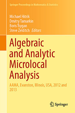 Fester Einband Algebraic and Analytic Microlocal Analysis von 