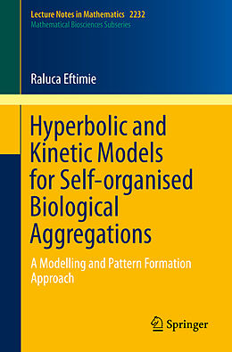 Kartonierter Einband Hyperbolic and Kinetic Models for Self-organised Biological Aggregations von Raluca Eftimie
