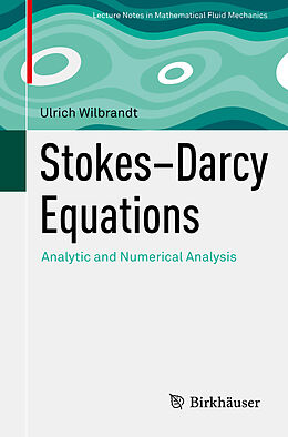 Kartonierter Einband Stokes Darcy Equations von Ulrich Wilbrandt