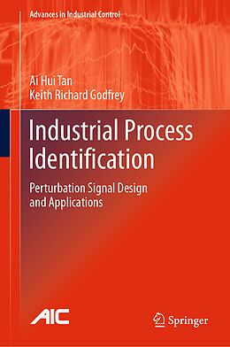 Fester Einband Industrial Process Identification von Keith Richard Godfrey, Ai Hui Tan
