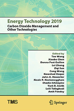 Livre Relié Energy Technology 2019 de 